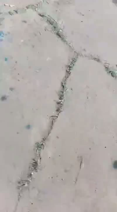 Project video 6 preview