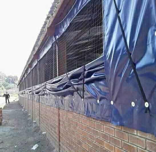 Car Park Shading project – chicken houses (20)