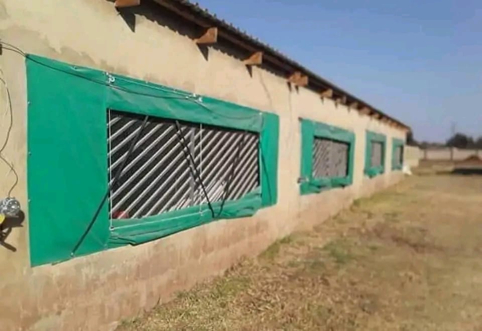Car Park Shading project – chicken houses (16)