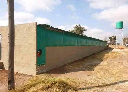 Car Park Shading project – chicken houses (12)